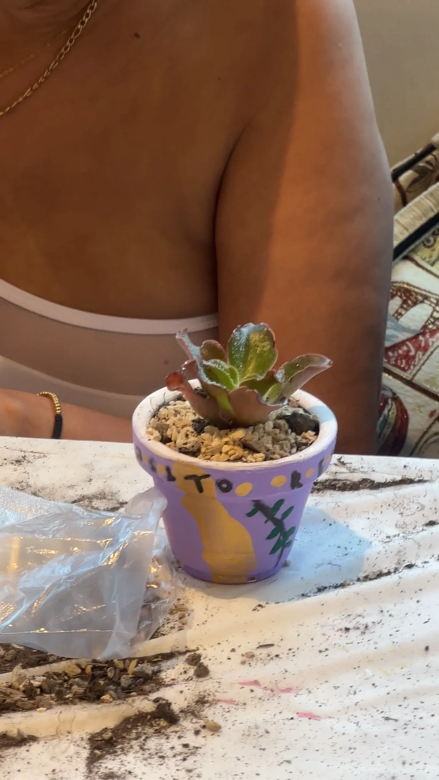 Pintura de maceta y siembra en plan privado VitalClub