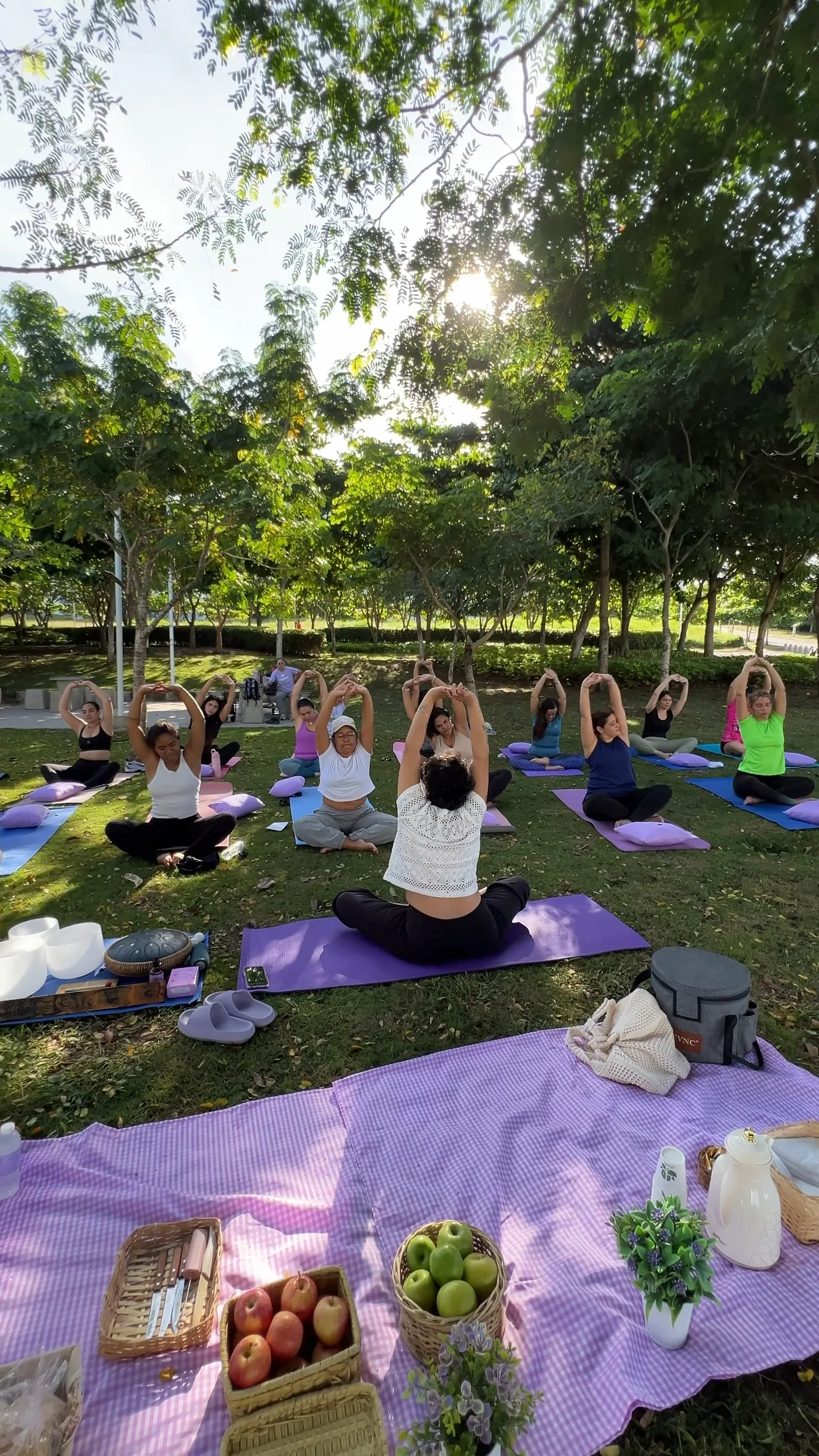 Yoga al aire libre tipo picnic VitalClub